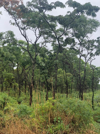 1-acre-land-for-sale-in-new-kasama-big-3