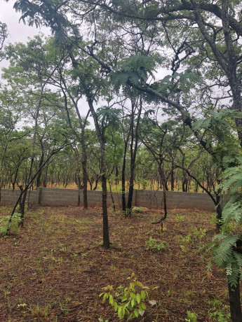 1-acre-land-for-sale-in-new-kasama-big-1