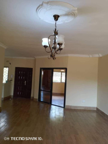3-bedroom-flat-for-rent-in-lilayi-big-9