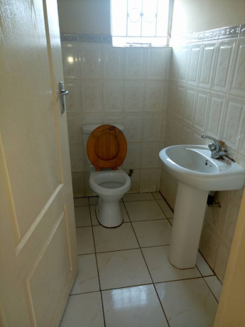 4-bedroom-house-for-rent-in-kalingalinga-big-3