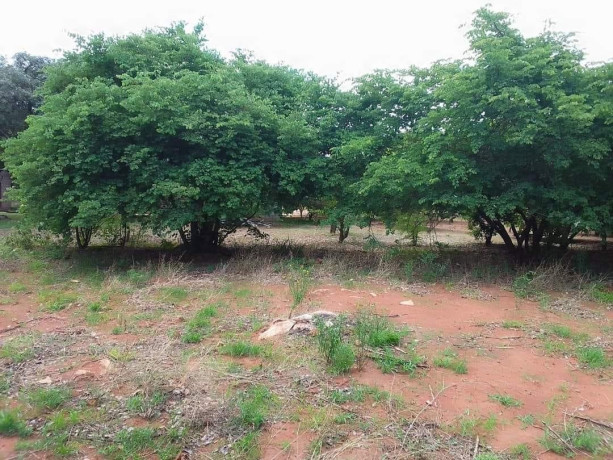 45m-by-23m-plot-for-sale-in-lilayi-big-8
