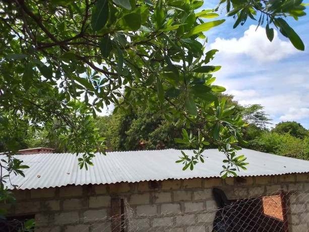 45m-by-23m-plot-for-sale-in-lilayi-big-2