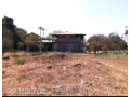 22-acre-plot-for-sale-in-kalundu-small-0