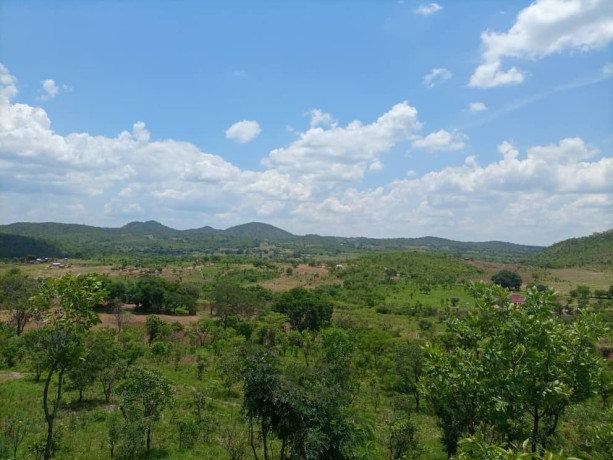 875-acres-land-for-sale-in-leopards-hill-big-1