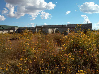 spacious-plot-for-sale