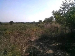 5-hectares-land-for-sale-in-kasisi
