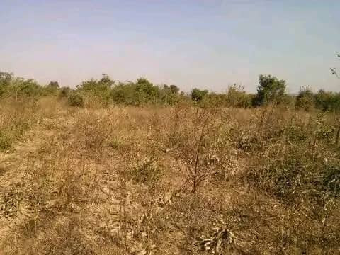 5-hectares-land-for-sale-in-kasisi-big-1