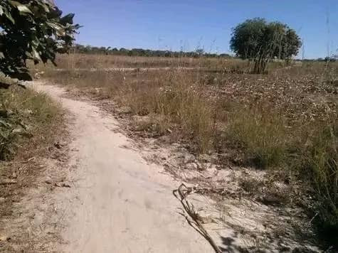 5-hectares-land-for-sale-in-kasisi-big-4