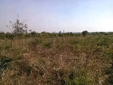 5-hectares-land-for-sale-in-kasisi-big-2