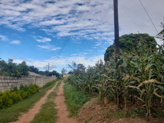 land-for-sale-in-chilanga