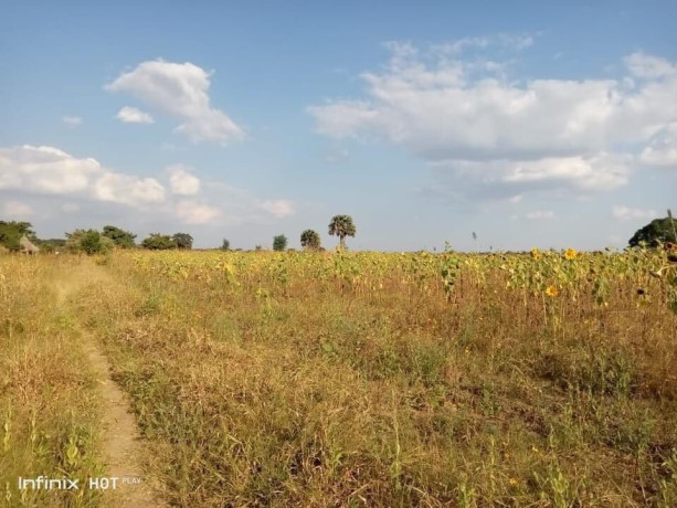 5-acres-farm-land-for-sale-along-mumbwa-road-big-4