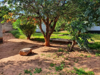 3-bedroom-house-for-sale-in-old-avondale