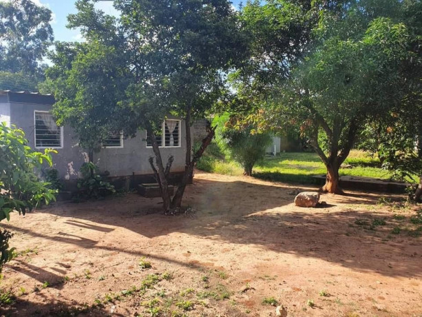 3-bedroom-house-for-sale-in-old-avondale-big-8