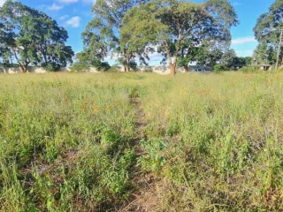 land-for-sale-in-makeni-bonaventure