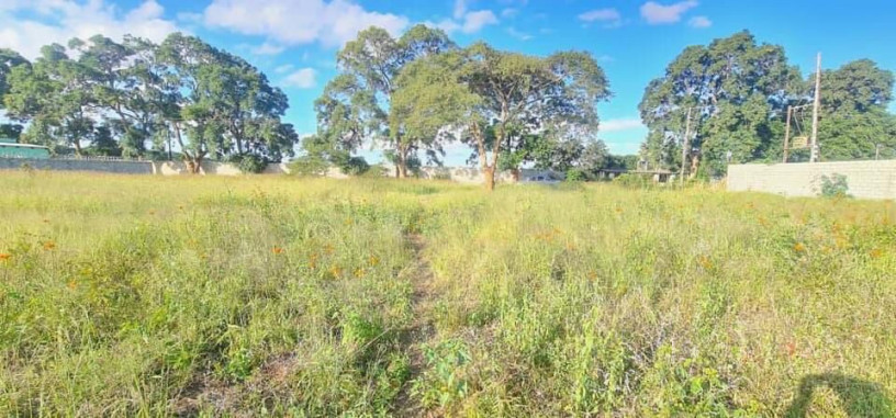 land-for-sale-in-makeni-bonaventure-big-3
