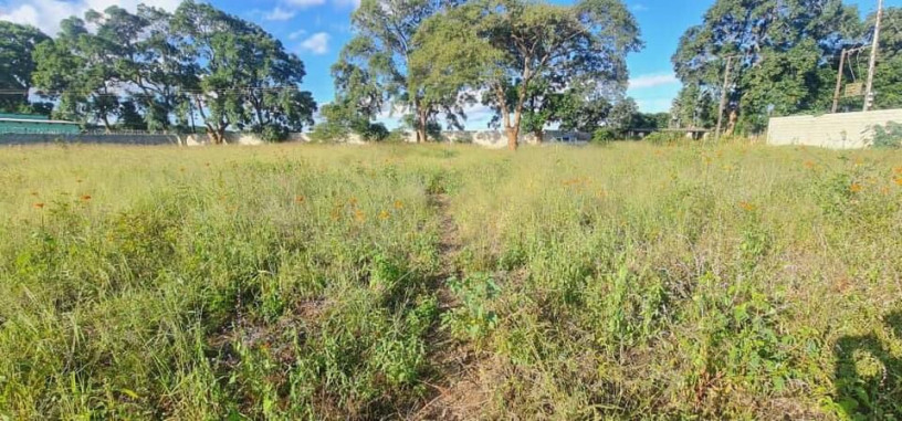 land-for-sale-in-makeni-bonaventure-big-0