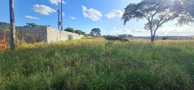 land-for-sale-in-makeni-bonaventure-big-2