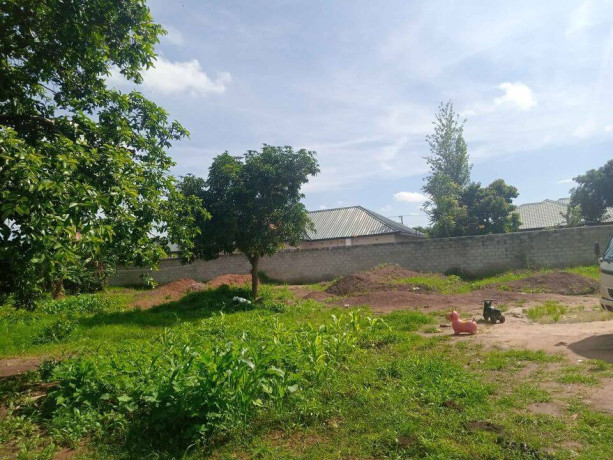 40m-by-50m-plot-for-sale-in-makeni-bonaventure-big-1