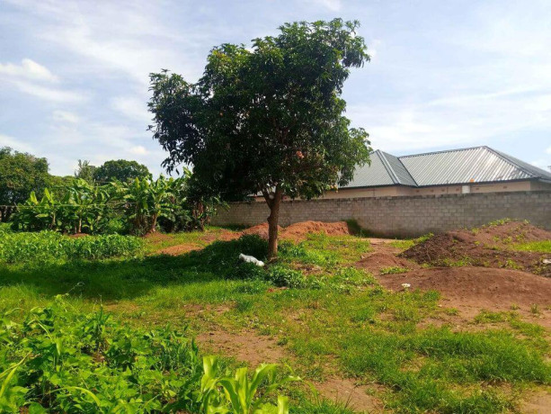 40m-by-50m-plot-for-sale-in-makeni-bonaventure-big-2