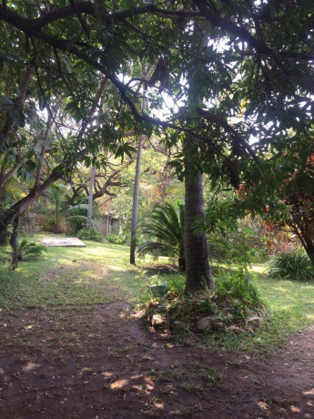 3-bedroom-house-for-sale-in-siavonga-big-3