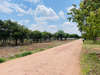 42-acres-land-for-sale-in-new-kasama