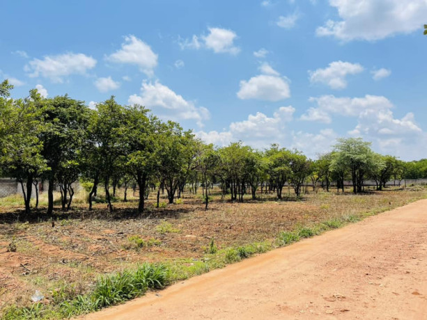 42-acres-land-for-sale-in-new-kasama-big-8