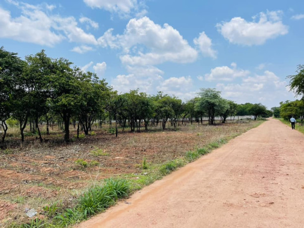 42-acres-land-for-sale-in-new-kasama-big-1