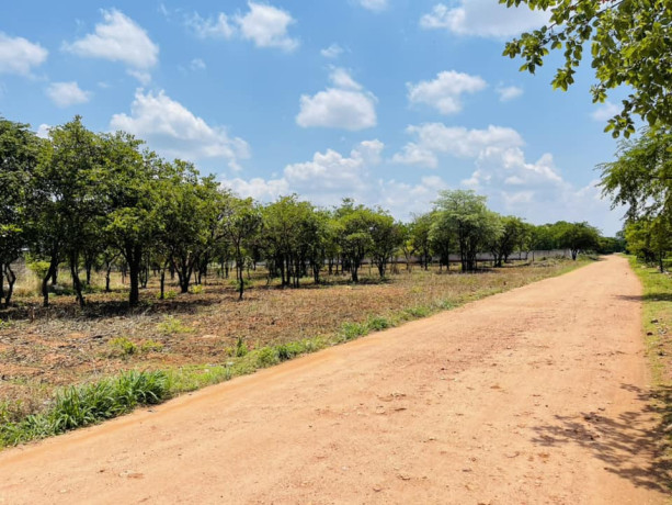 42-acres-land-for-sale-in-new-kasama-big-7