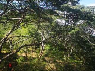 60-acre-farm-for-sale-in-kafue