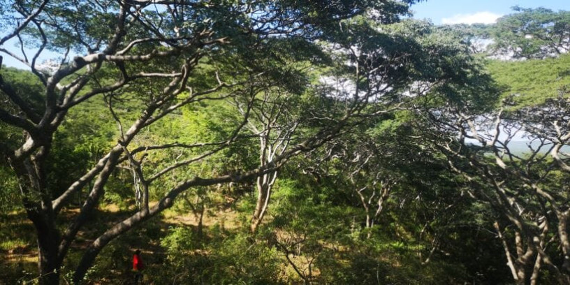 60-acre-farm-for-sale-in-kafue-big-0