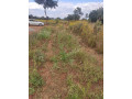 20m-by-35m-plot-for-sale-in-10-miles-small-2