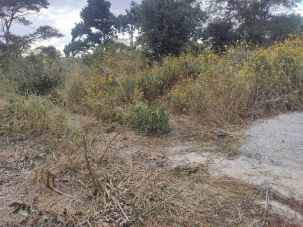 20m-by-35m-plot-for-sale-in-10-miles-big-3