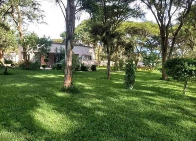 2-bedroom-flat-for-rent-in-eureka-park-big-4