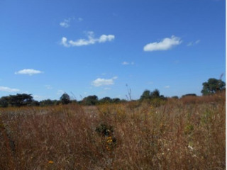 5-acre-commercial-land-on-mpongwe-road