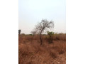 5-acres-plot-for-sale-in-lusaka-west-small-0