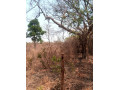 5-acres-plot-for-sale-in-lusaka-west-small-2