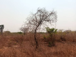 5-acres-plot-for-sale-in-lusaka-west