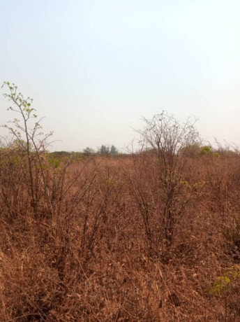 5-acres-plot-for-sale-in-lusaka-west-big-6