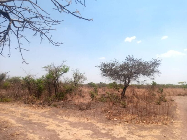 5-acres-plot-for-sale-in-lusaka-west-big-4
