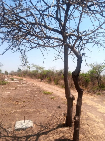 5-acres-plot-for-sale-in-lusaka-west-big-3