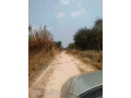 farm-for-sale-in-mufulira-small-2