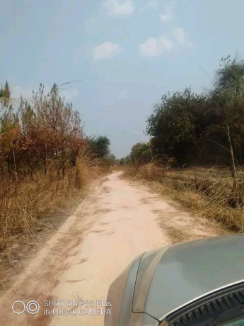 farm-for-sale-in-mufulira-big-2