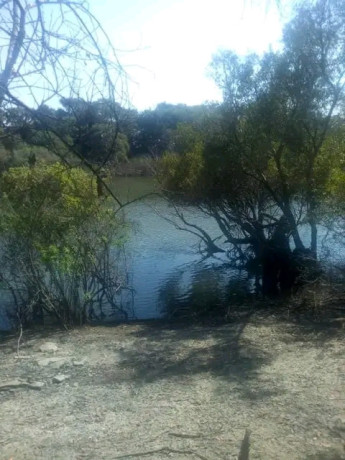 farm-for-sale-in-mufulira-big-1