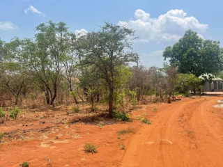 44m-by-33m-plot-for-sale-in-ibex-meanwood