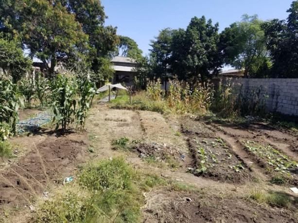 3-bedroom-house-for-sale-in-makeni-villa-big-1