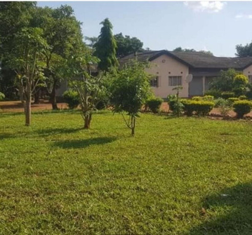 farm-house-for-rent-in-new-kasama-big-5