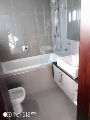 3-and-2-bedroom-flats-for-rent-in-roma-park-big-5