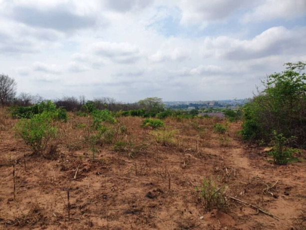 vacant-land-for-sale-in-foxdale-big-3