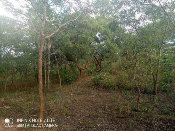 plot-on-title-for-sale-in-siavonga-big-1