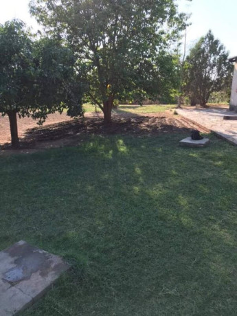 4-bedroom-farm-house-for-rent-in-shimabala-big-3